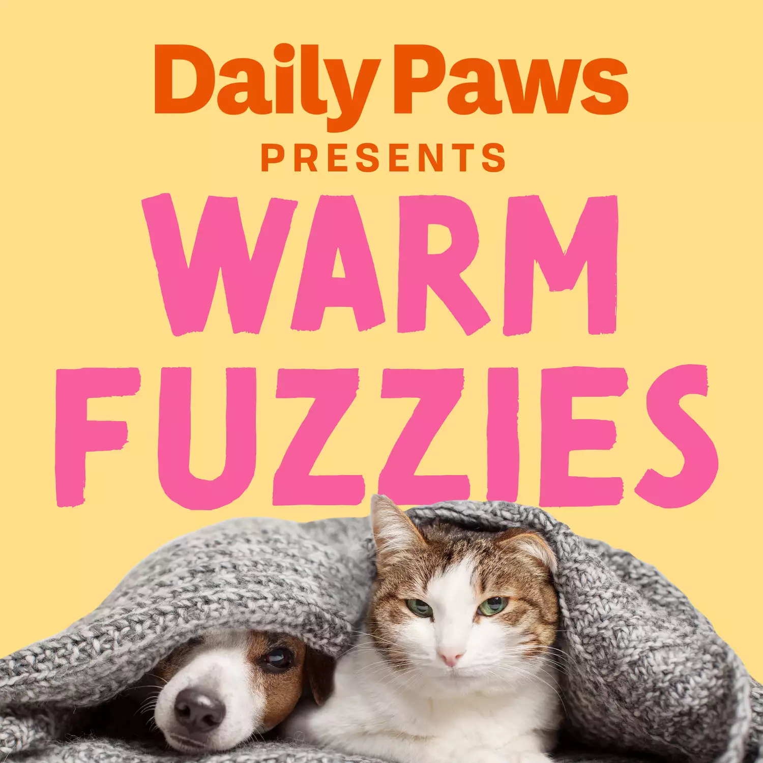 text reads daily paws presents warm fuzzies above dog and cat under a blanket